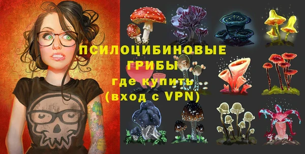 марки lsd Няндома